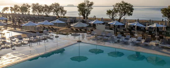 Domes Aulus Zante, Autograph Collection