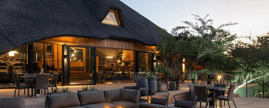 Bayethe Safari Lodge       