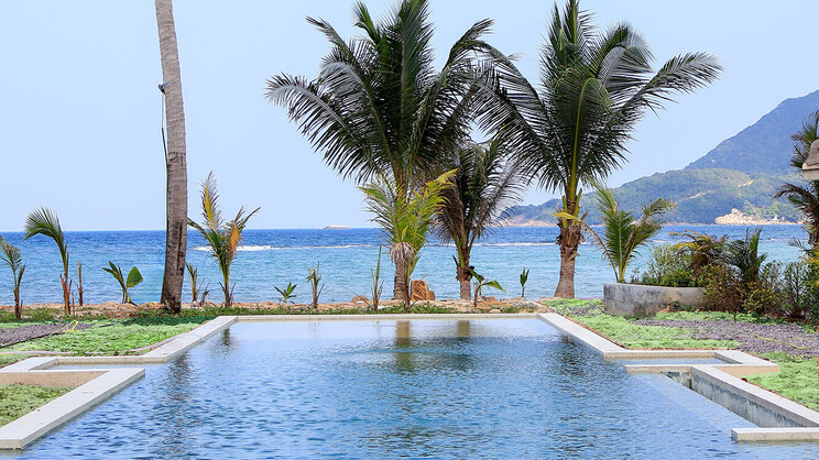 Kupu Kupu Phangan ( Koh Phangan )