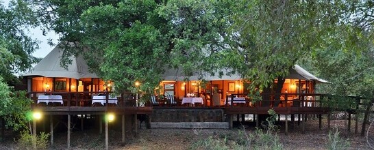 Hamiltons Tented Camp