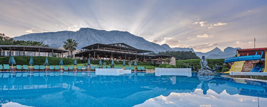 Gypsophila Club Marine