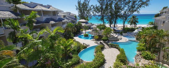 Bougainvillea Barbados Image