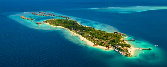 OZEN RESERVE BOLIFUSHI