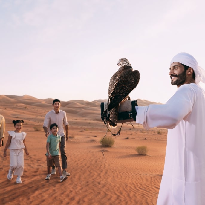 Abu Dhabi falconry