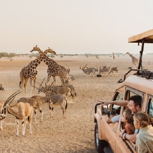Abu Dhabi Safari