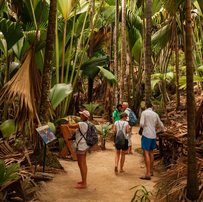 Be transported back in time at Vallée de Mai