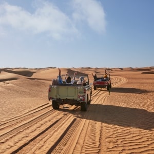 Dubai Desert Safari