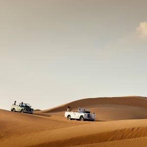 Dubai Desert Safari
