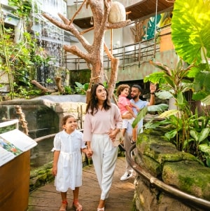 The Green Planet Dubai