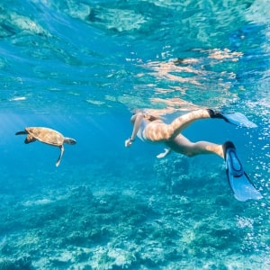Snorkelling in the Maldives