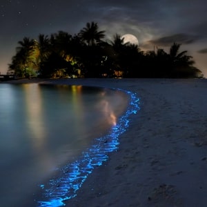 Maldives Beach at Night