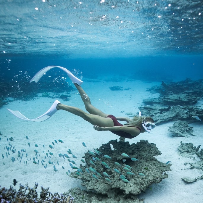Mauritius Snorkelling
