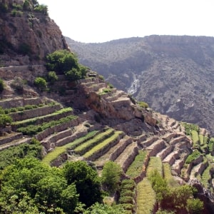 Oman Nature
