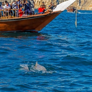 Oman Dolphins