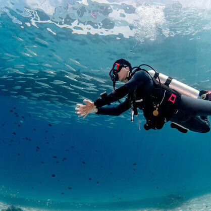 Phuket Diving