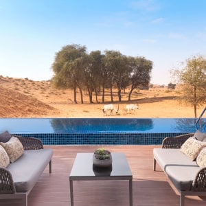 The Ritz-Carlton Ras Al Khaimah, Al Wadi Desert
