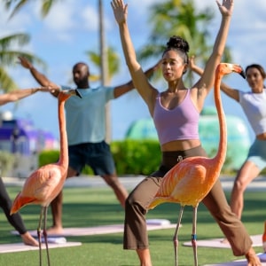 Nassau & Paradise Island