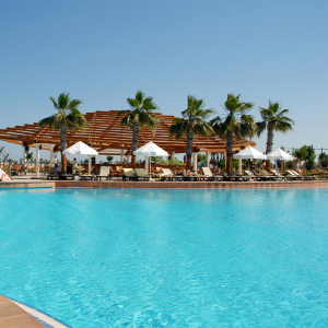 Lara Barut Collection