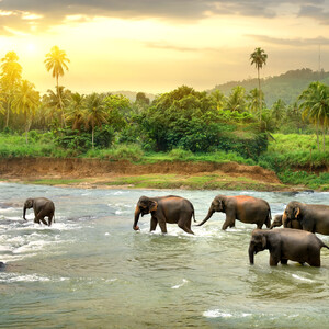Sri Lanka ticks all the boxes for an unforgettable winter holiday