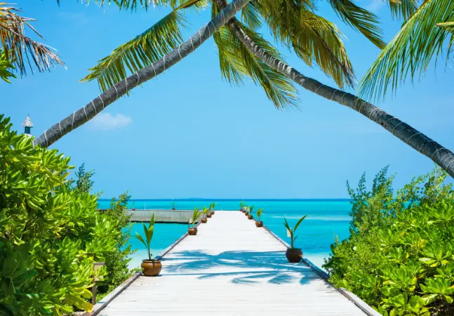 Maldives Holidays - Why You’ll Love This Indian Ocean Island Paradise