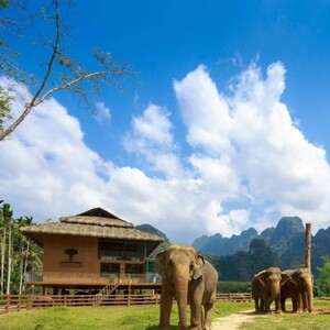 Elephant Hills, Khao Lak