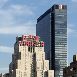 The New Yorker