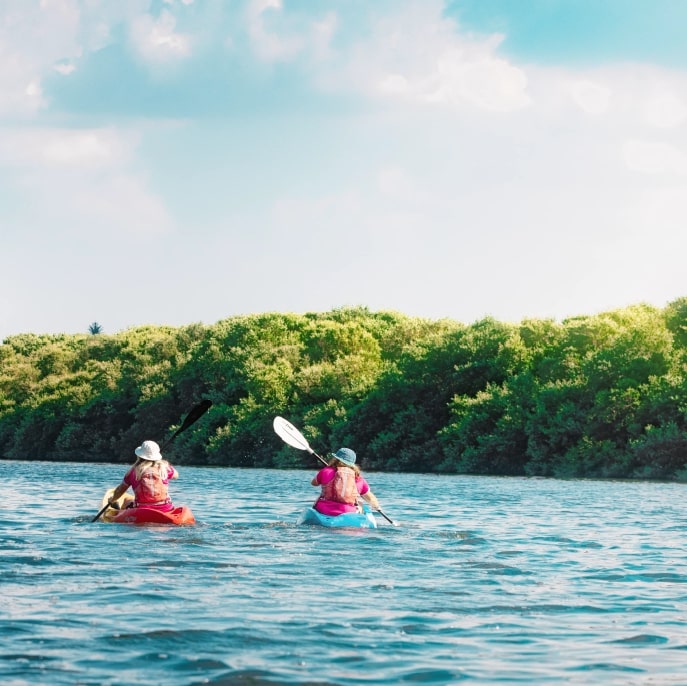 Al Zorah Nature Reserve