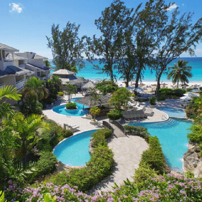 Bougainvillea Barbados