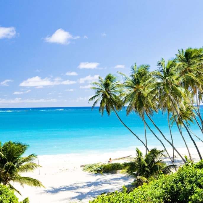 Barbados beach view