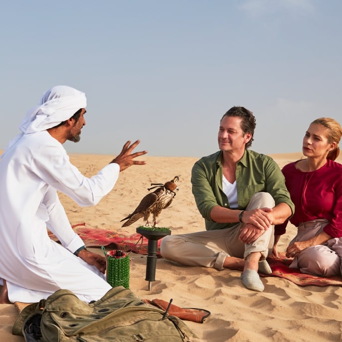 Birds of prey in the Dubai desert