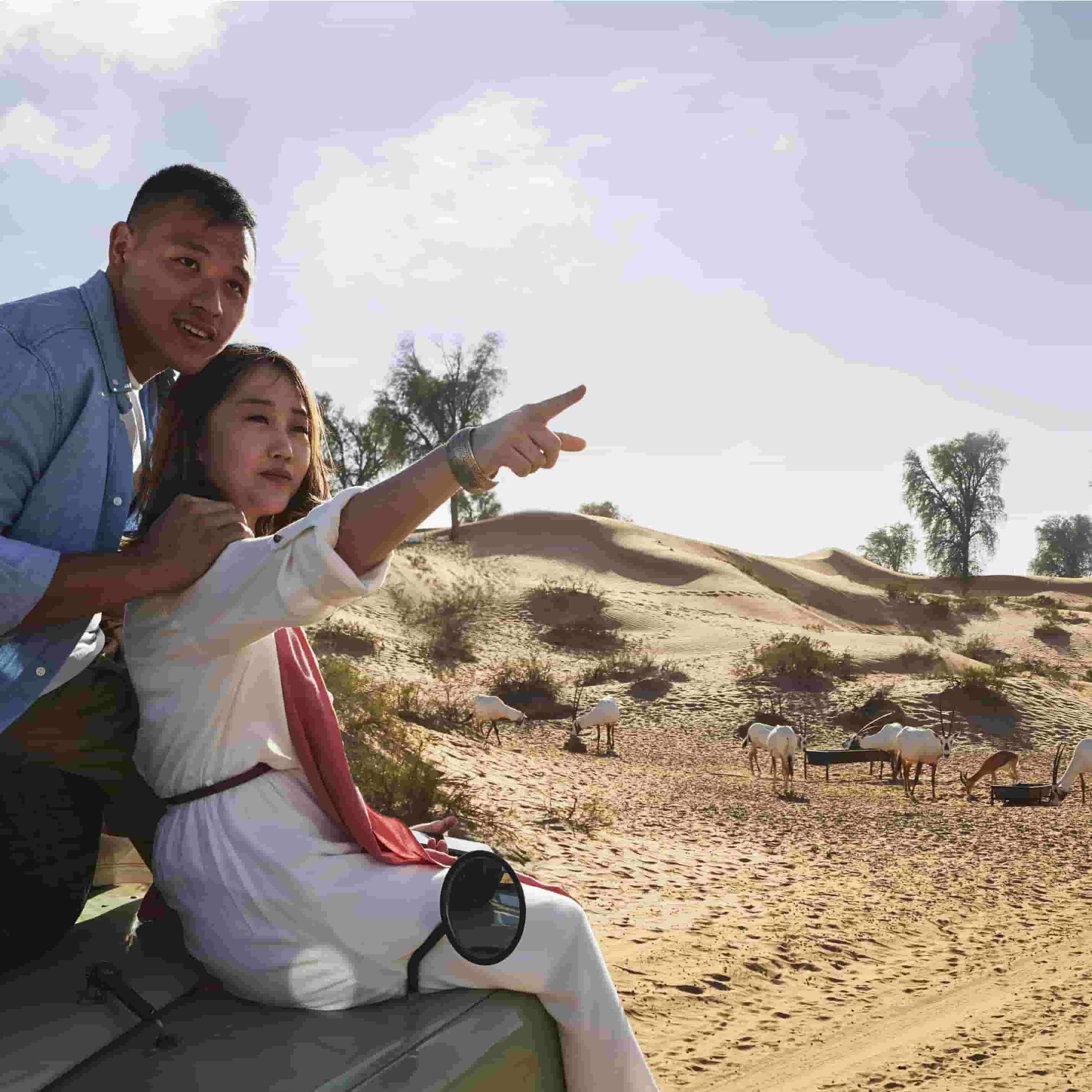Couple sightseeing at the Dubai safari park