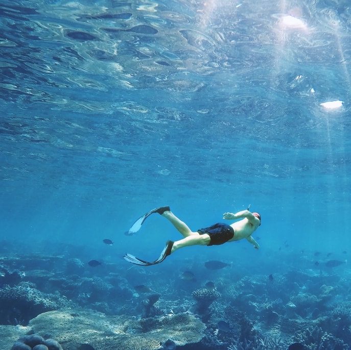 Diving in the Maldives