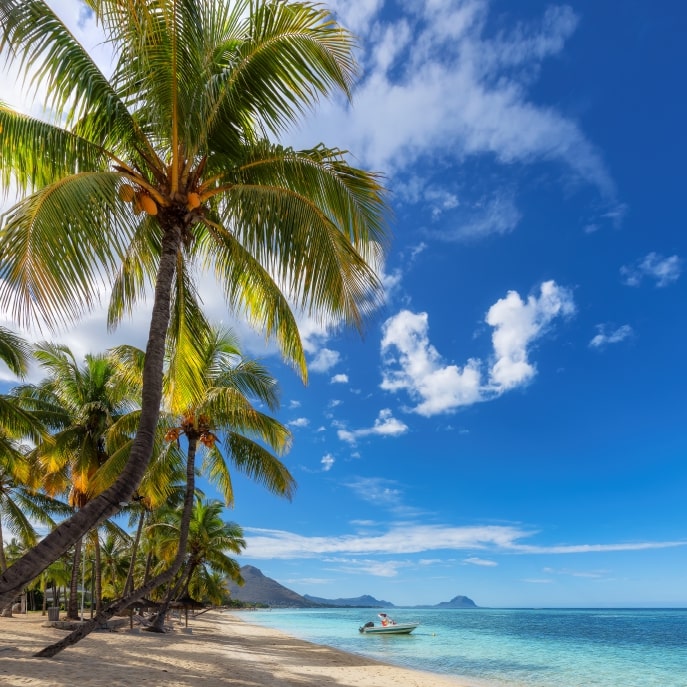 Weddings and honeymoons in Mauritius