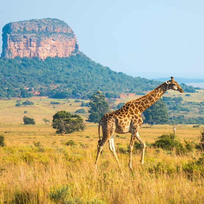 South Africa holidays